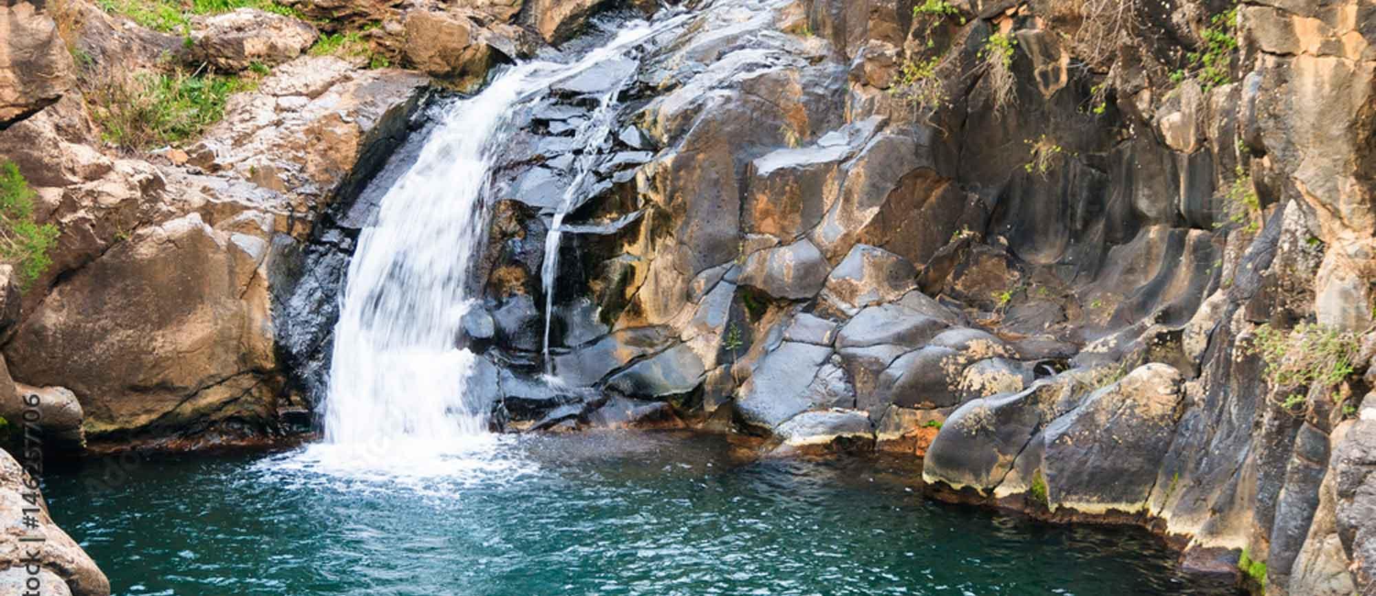 Nature background